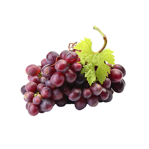 葡萄